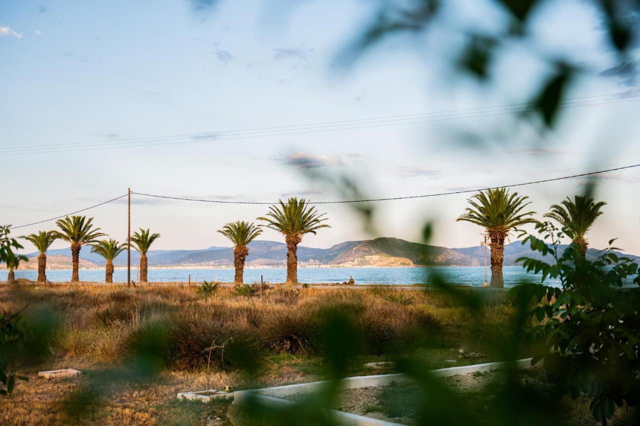 Sea View Residence Nea Kios Dış mekan fotoğraf