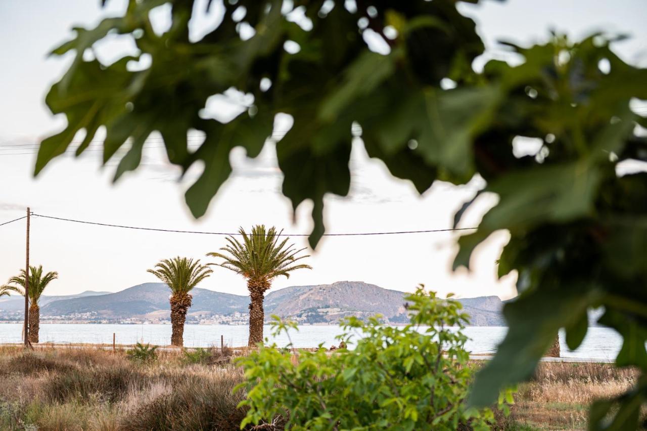 Sea View Residence Nea Kios Dış mekan fotoğraf